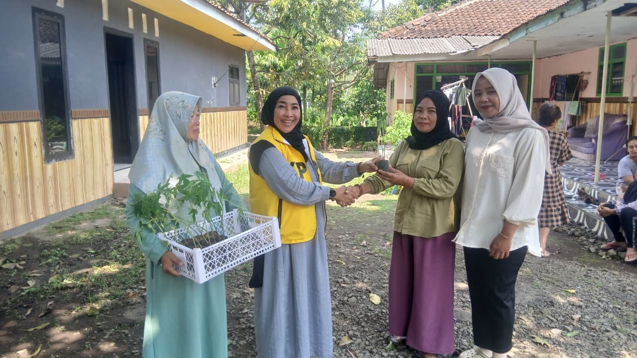kates kuning 2
